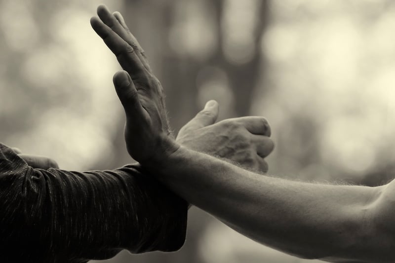 Tai Chi Balance Image